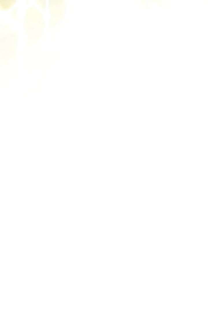 Masked Knight Will Never Deceive The Villainess Chapter 36 - Page 11