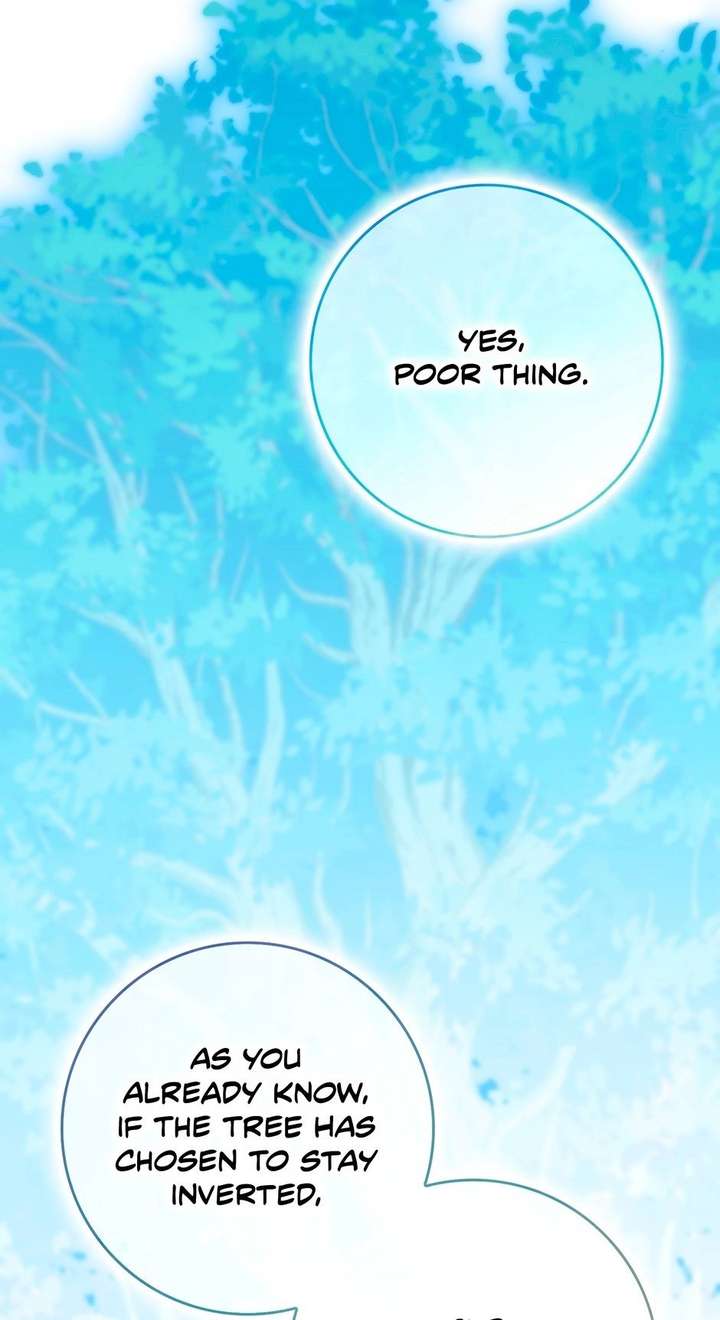 The secrets of the lovely duchess Chapter 78 - Page 64