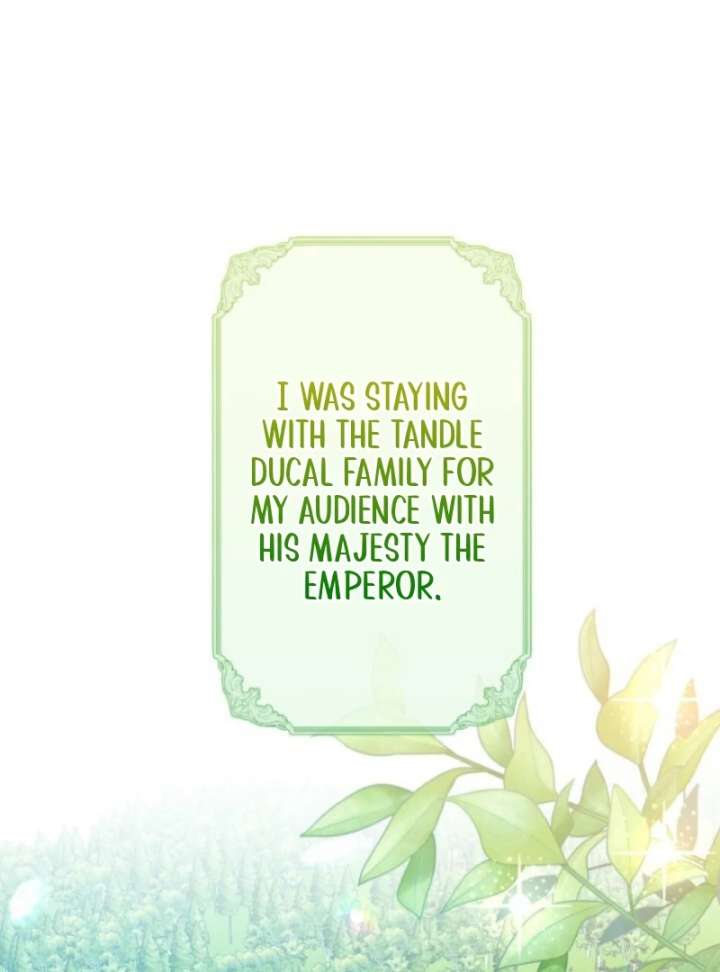 The Retired Villainess Wants to Live Quietly Chapter 14 - Page 3