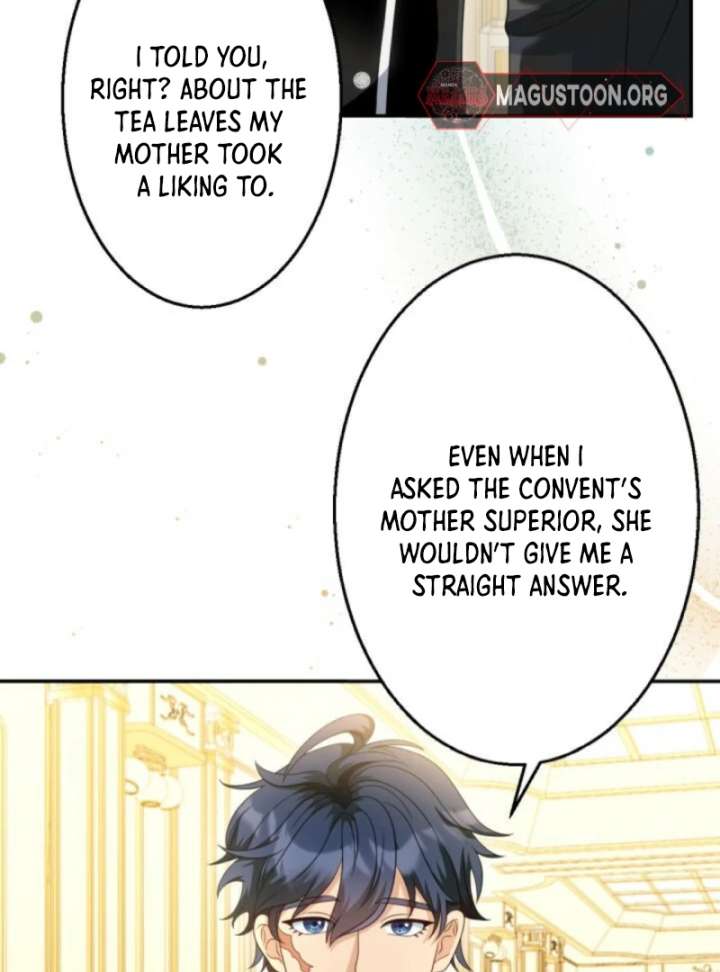 The Retired Villainess Wants to Live Quietly Chapter 14 - Page 32