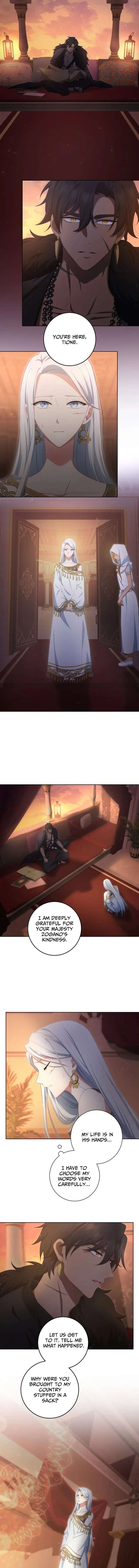 The Toy Doll Princess Weds in the Wilds Chapter 2 - Page 9