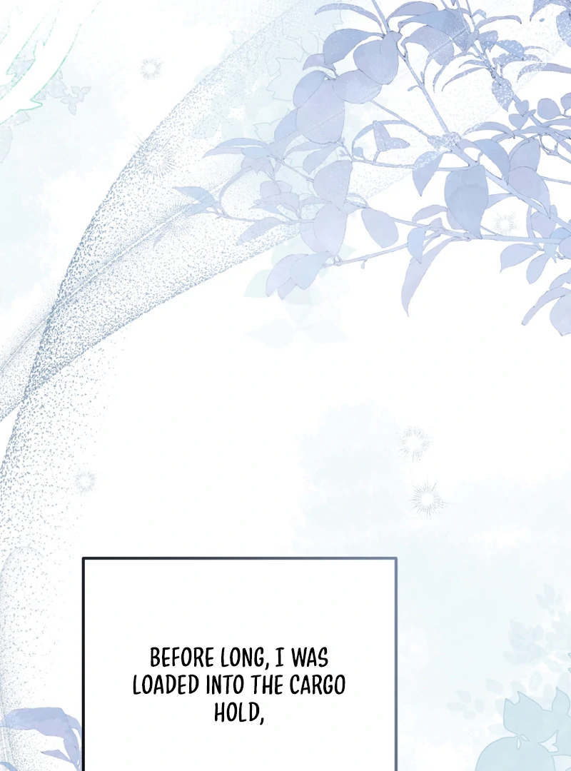 I Will Pay the Price for Deceiving You With My Life Chapter 16 - Page 3