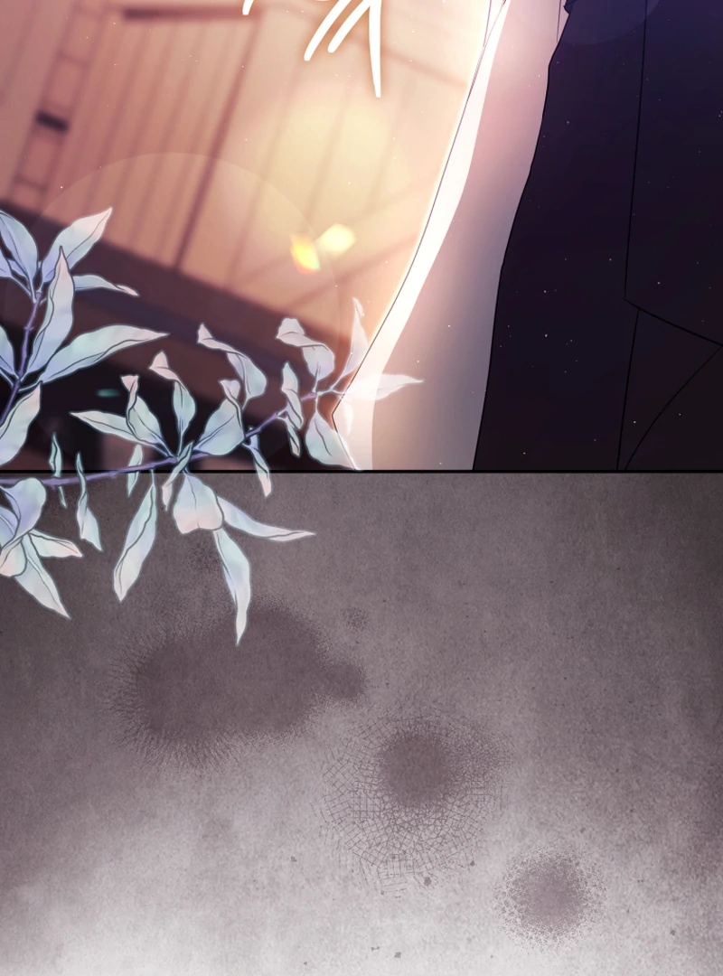 I Will Pay the Price for Deceiving You With My Life Chapter 16 - Page 7