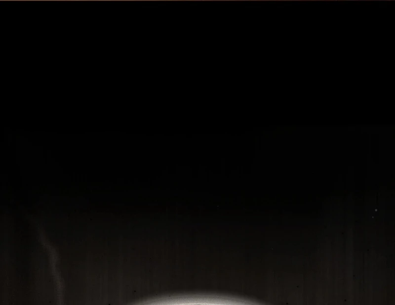 I Will Pay the Price for Deceiving You With My Life Chapter 35 - Page 31