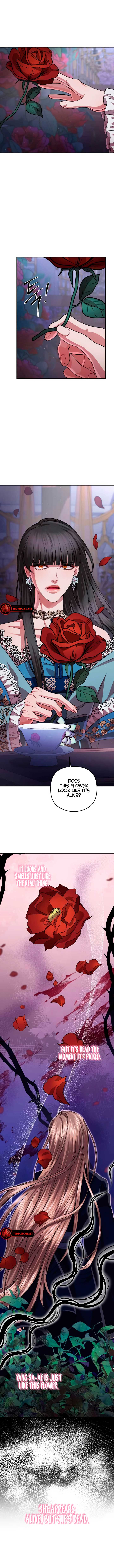 All About Dominative And Exclusive Destruction Chapter 40 - Page 5