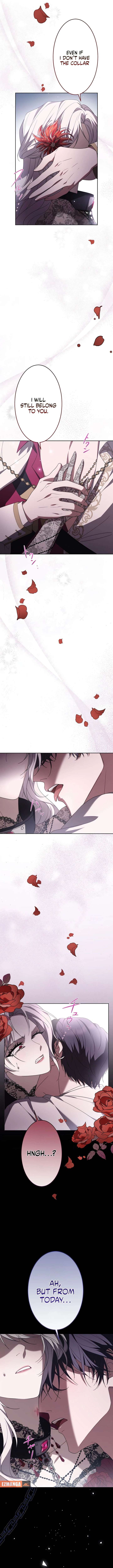 The Villainess Is Collared by Her Loyal Guard Chapter 1 - Page 21