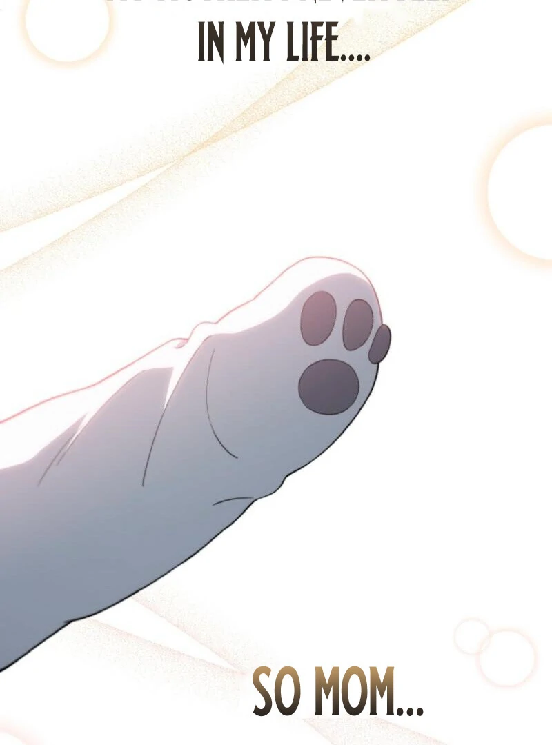 Face Genius, 0-Year-Old Top Star Chapter 9 - Page 96