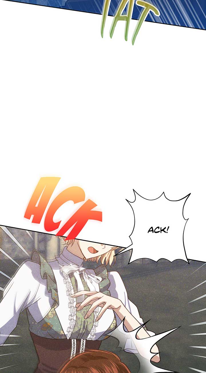 Duchess Mecklen’s Elegant Rebellion Chapter 30 - Page 43