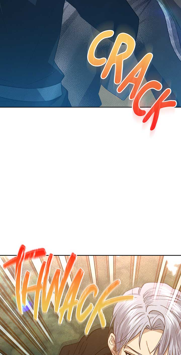 Duchess Mecklen’s Elegant Rebellion Chapter 33 - Page 62