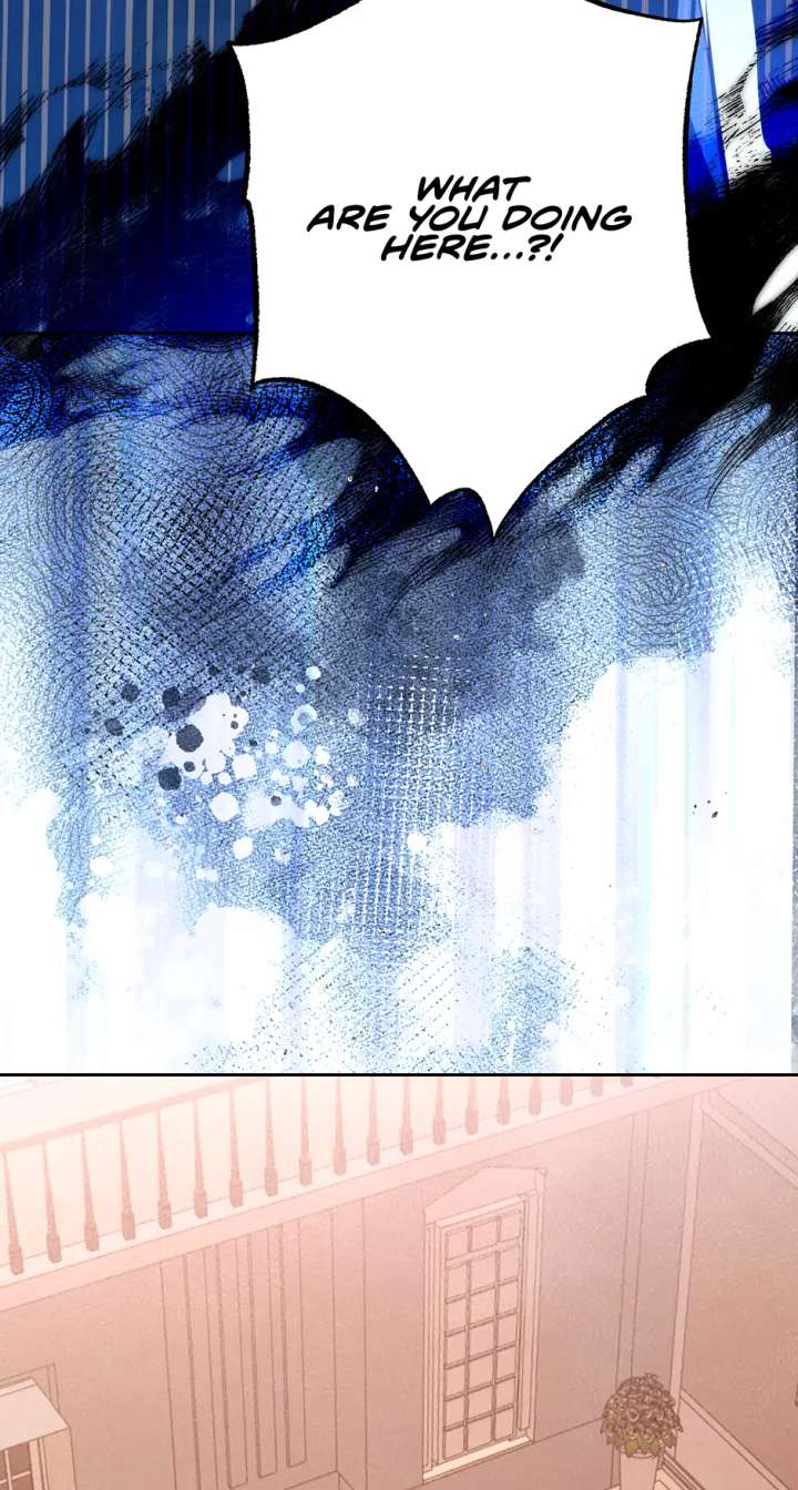 Duchess Mecklen’s Elegant Rebellion Chapter 39 - Page 14