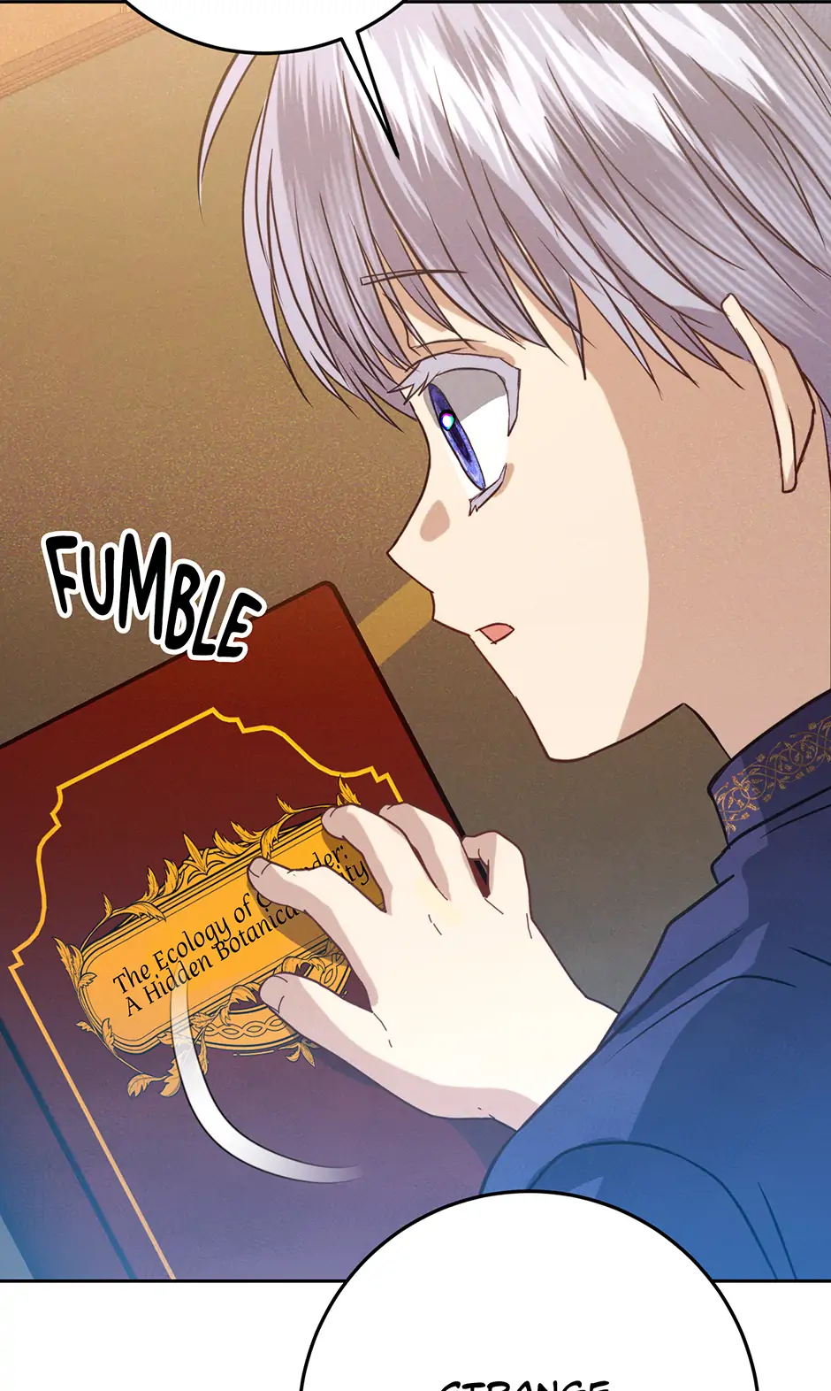 Duchess Mecklen’s Elegant Rebellion Chapter 40 - Page 4