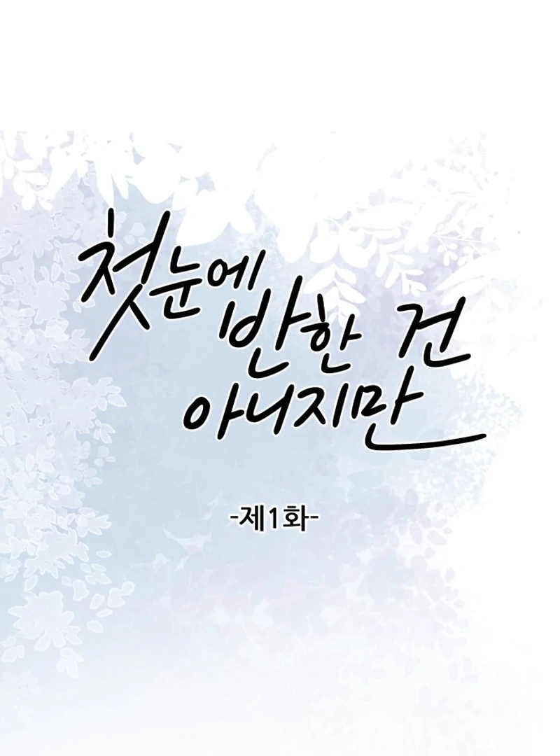 It Wasn’t Love at First Sight Chapter 1 - Page 37