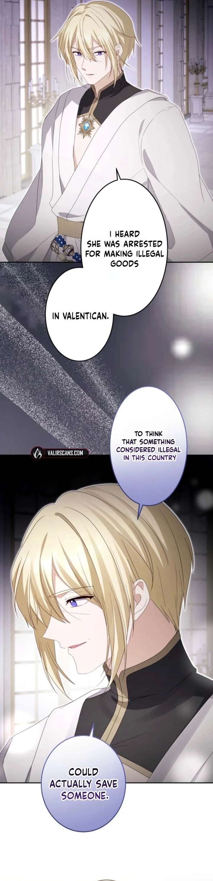 Your Highness, Won’t You Try This Tonight? Chapter 27 - Page 25