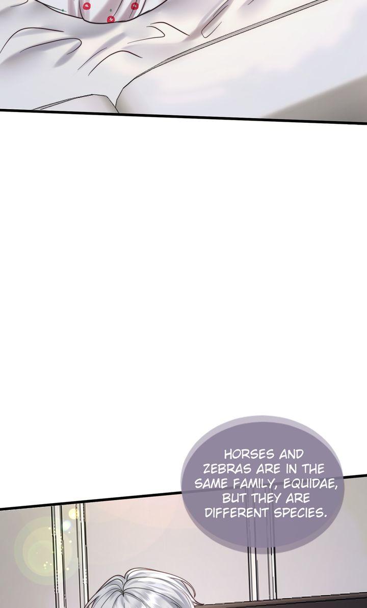 The Billionaire’s Replacement Wife Chapter 71 - Page 2