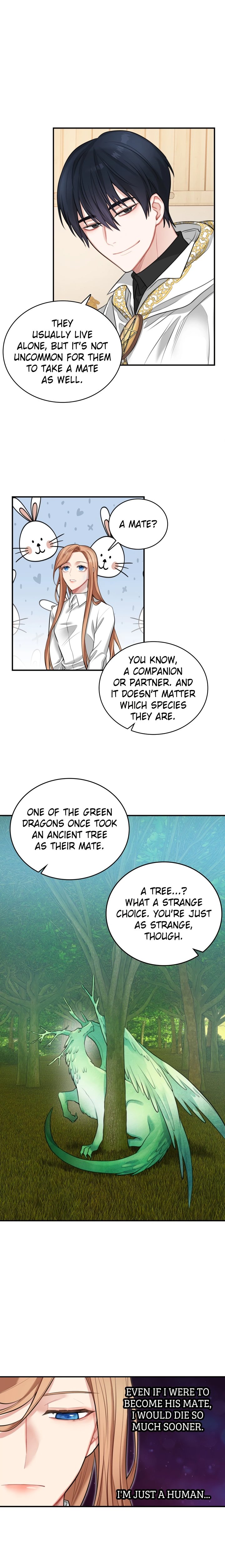 The Newlywed Diary of a Witch and a Dragon Chapter 16 - Page 19