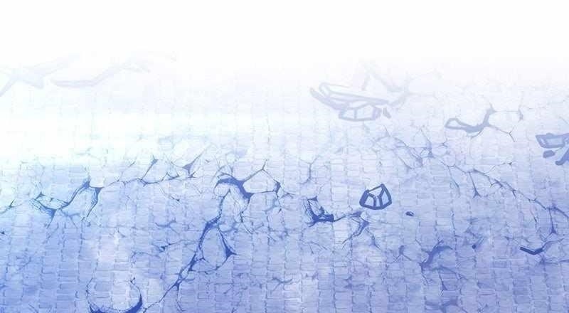 +99 Wooden stick Chapter 162 - Page 1