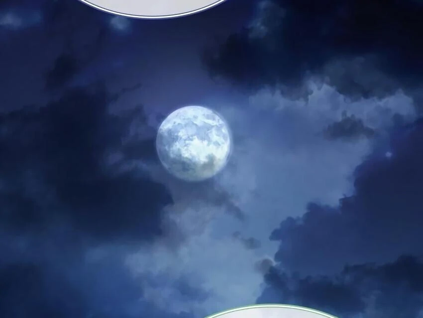 The Crown Prince That Sells Medicine Chapter 77 - Page 159