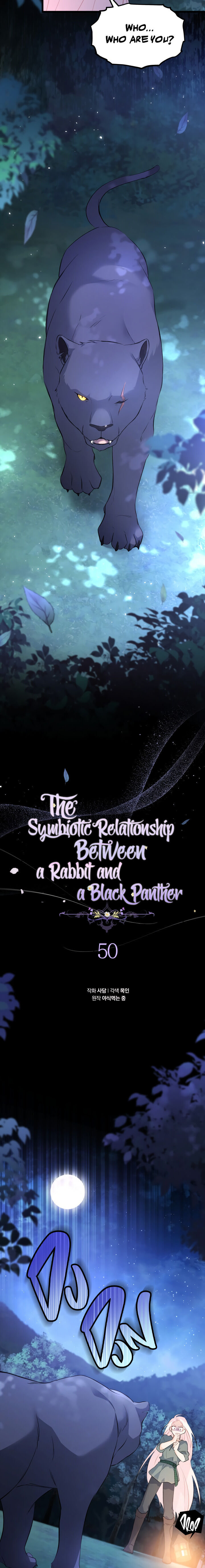 The Symbiotic Relationship Between A Rabbit and A Black Panther Chapter 50 - Page 7