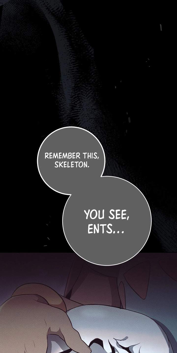Skeleton Soldier Couldn’t Protect the Dungeon Chapter 394 - Page 148