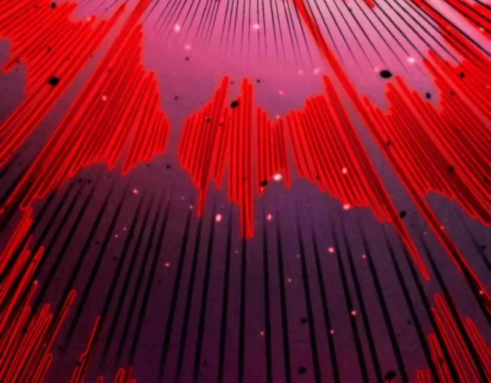 The Eternal Supreme Chapter 486 - Page 13