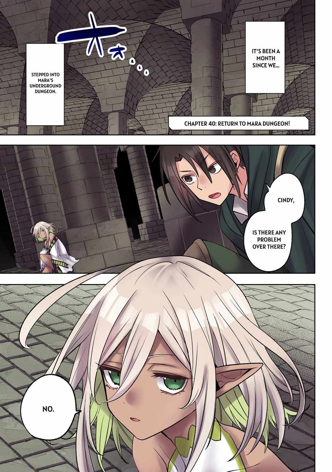 My level up is strange! ~ Reincarnation of a great Man in a Different World Chapter 40 - Page 1