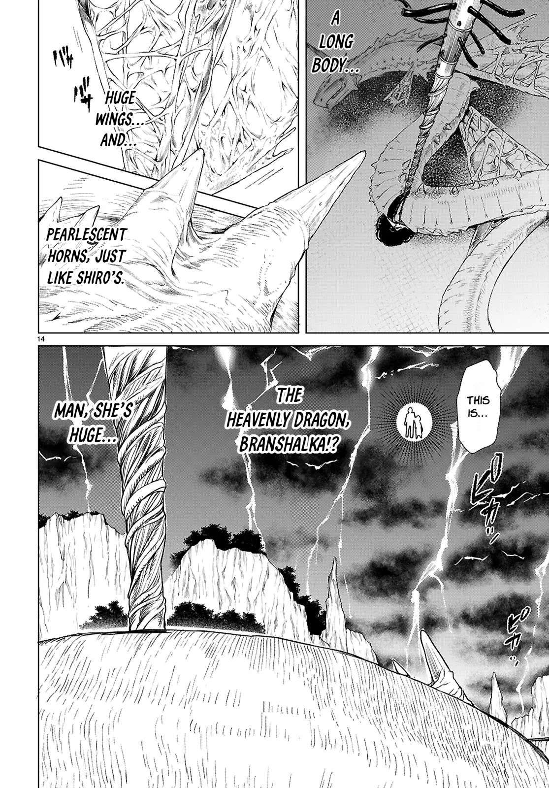 Isekai De Skill Wo Kaitai Shitara Cheat Na Yome Ga Zoushoku Shimashita: Gainen Kousa No Structure Chapter 89 - Page 13