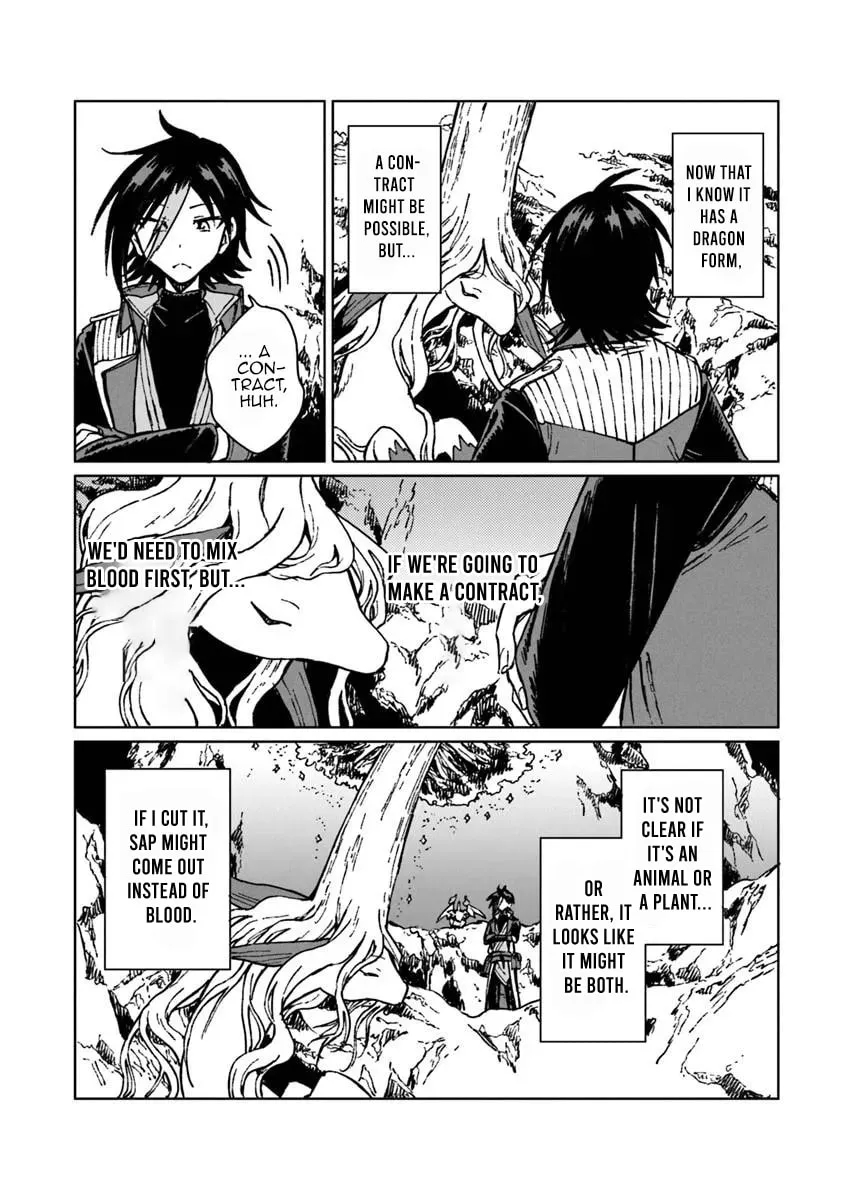 I’ve Been Kicked Out of an S-Rank Guild. But Only I Can Communicate With Dragons. Before I Knew It, I Became the Greatest Dragon Knight Chapter 43.1 - Page 14