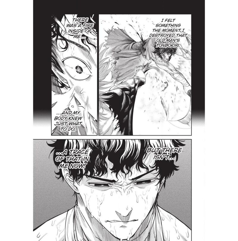 Tenkaichi: Battle to Decide Japan’s Strongest Martial Artist Chapter 59 - Page 29