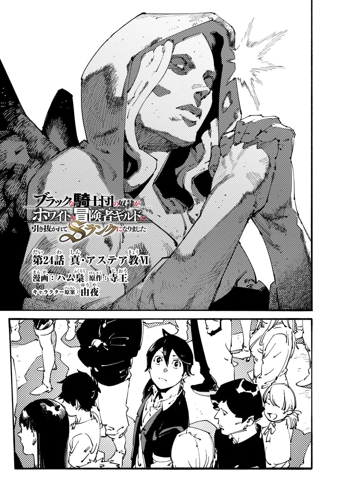 The Slave of the “Black Knights” is Recruited by the “White Adventurer’s Guild” as a S Rank Adventurer Chapter 24 - Page 3