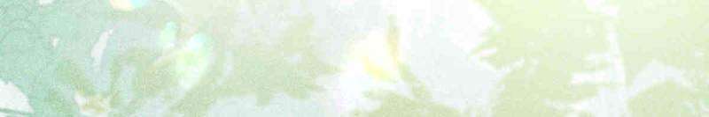 The Ghostly Doctor Chapter 628 - Page 11