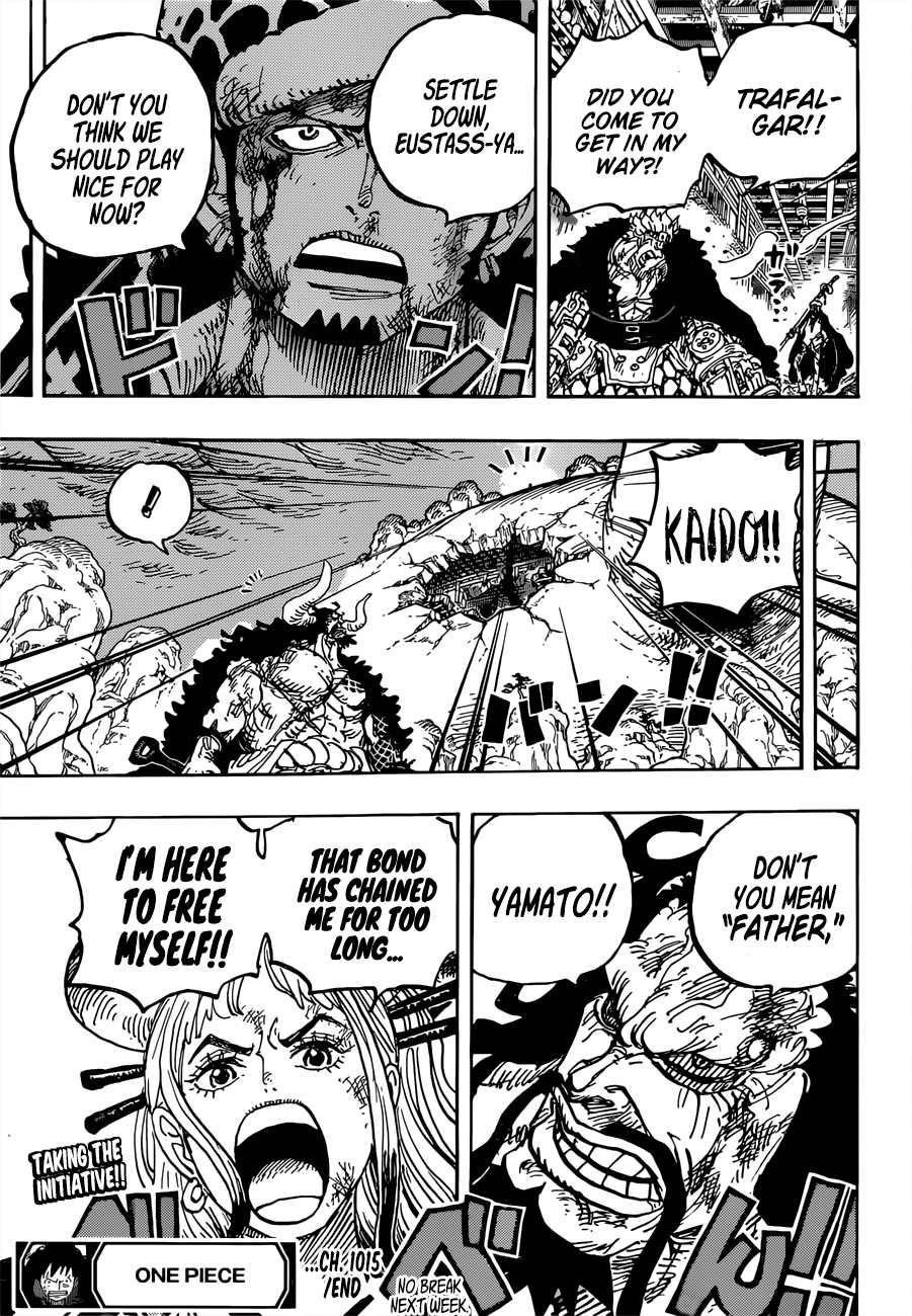 One Piece Chapter 1015 - Page 15