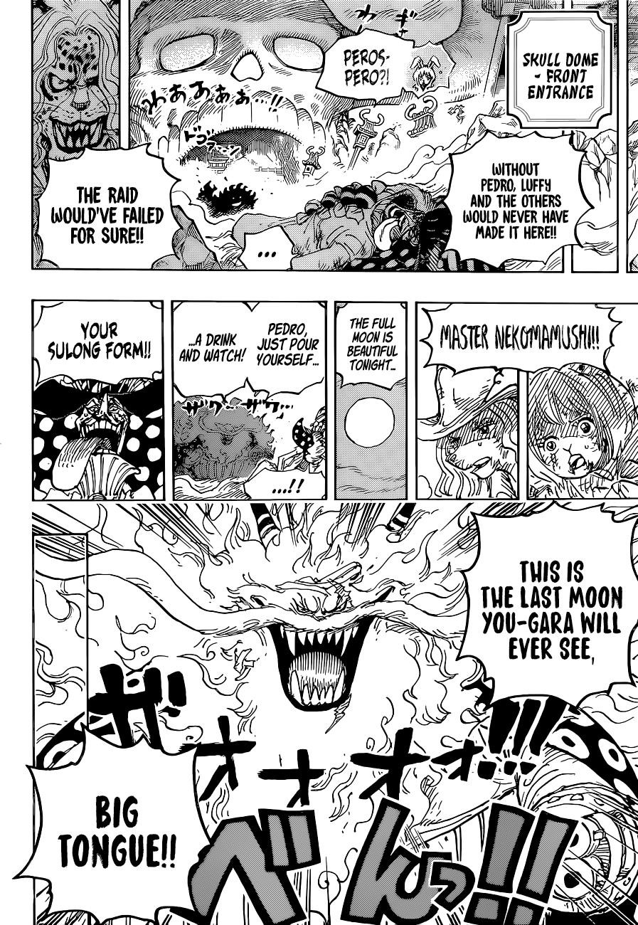 One Piece Chapter 1023 - Page 15