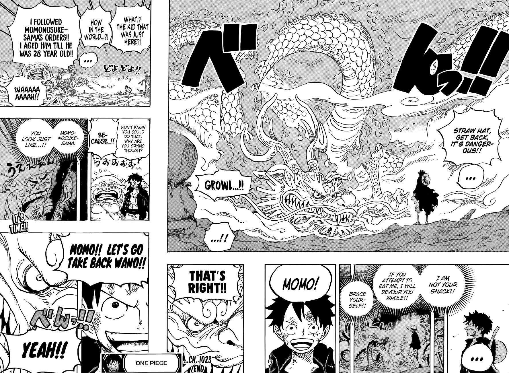 One Piece Chapter 1023 - Page 17
