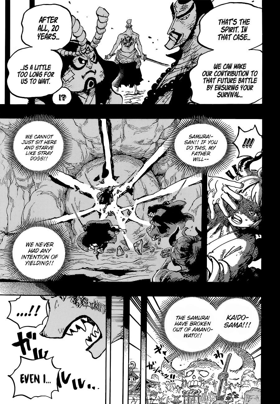 One Piece Chapter 1024 - Page 17