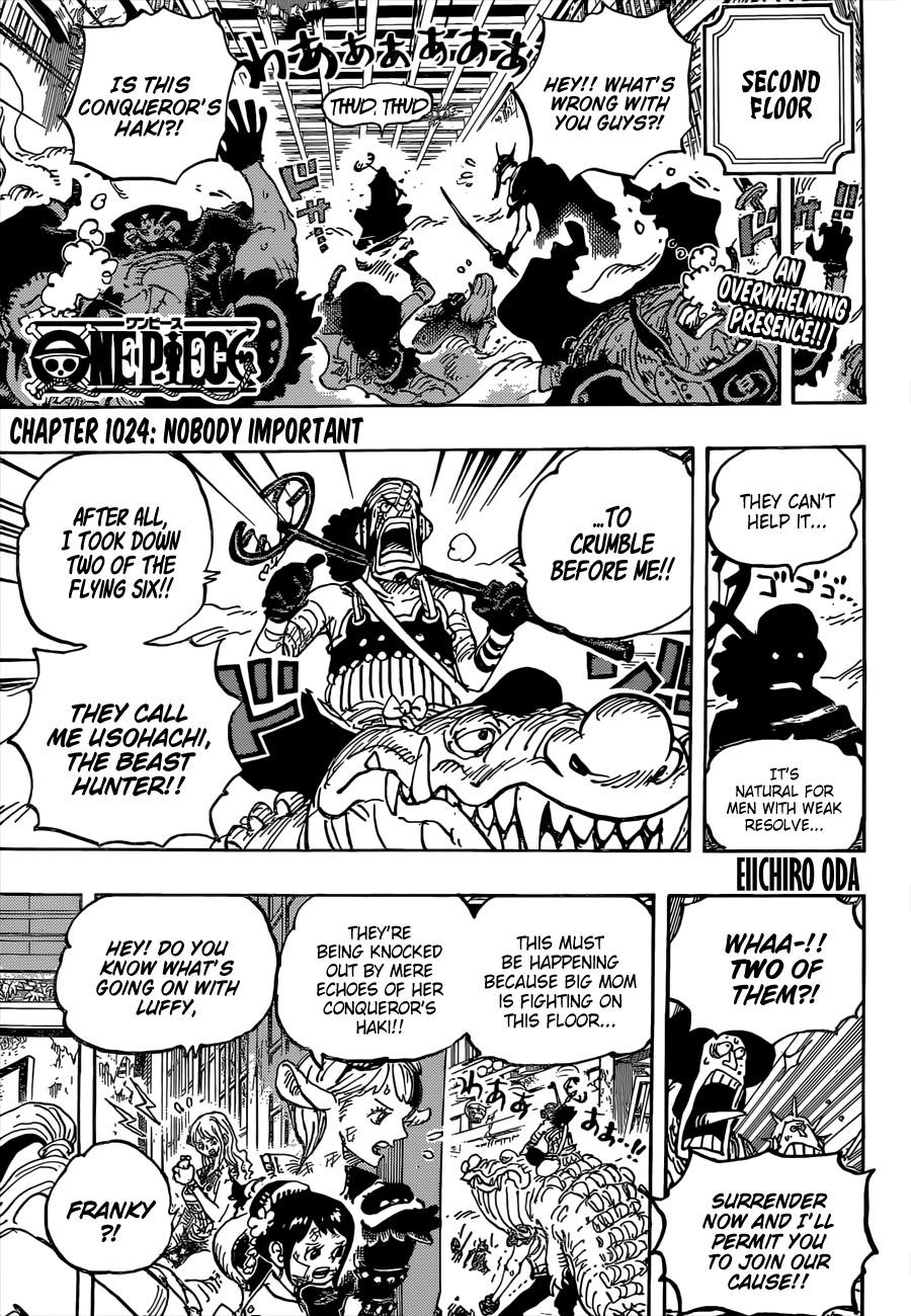 One Piece Chapter 1024 - Page 3