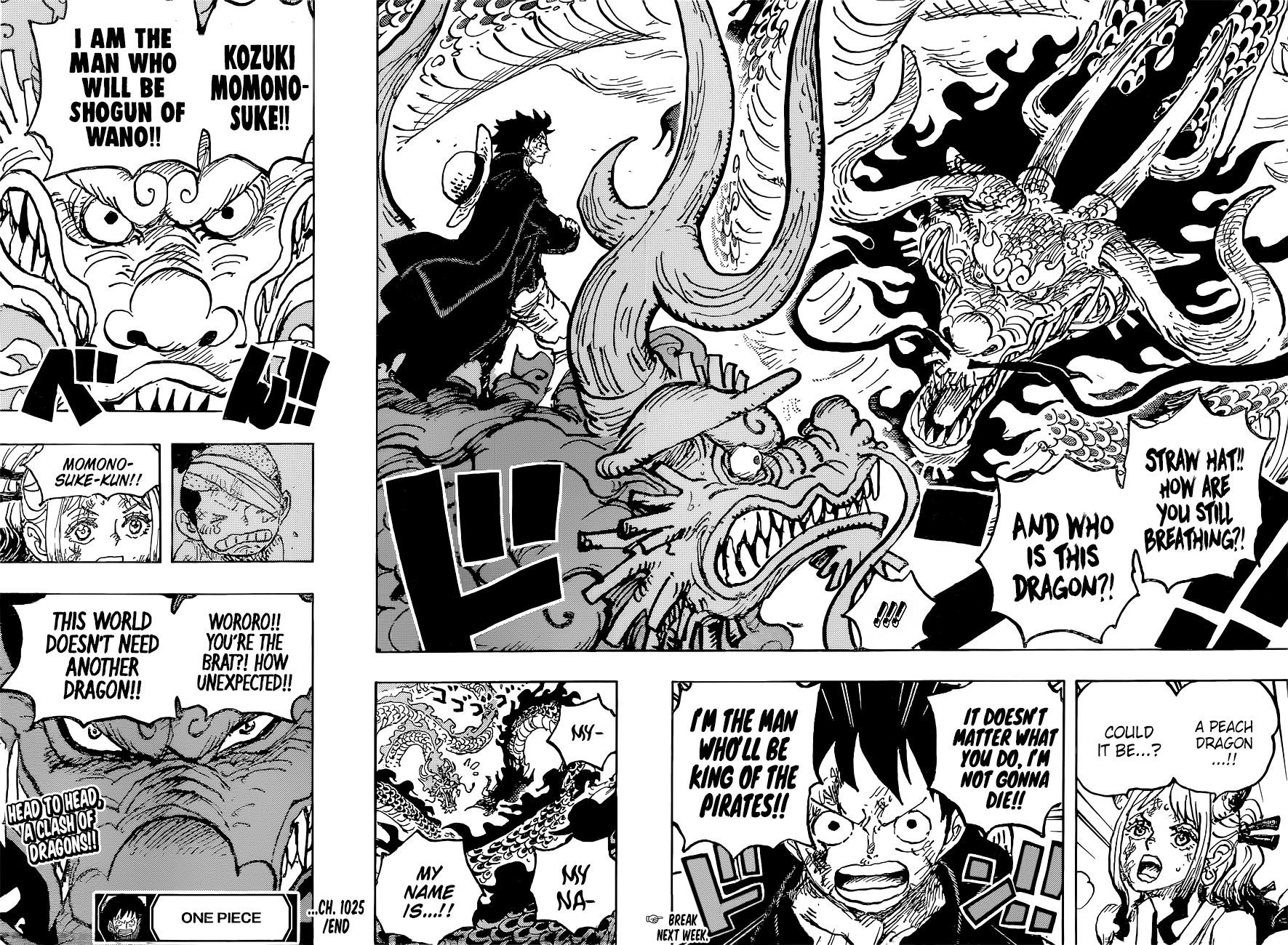 One Piece Chapter 1025 - Page 16