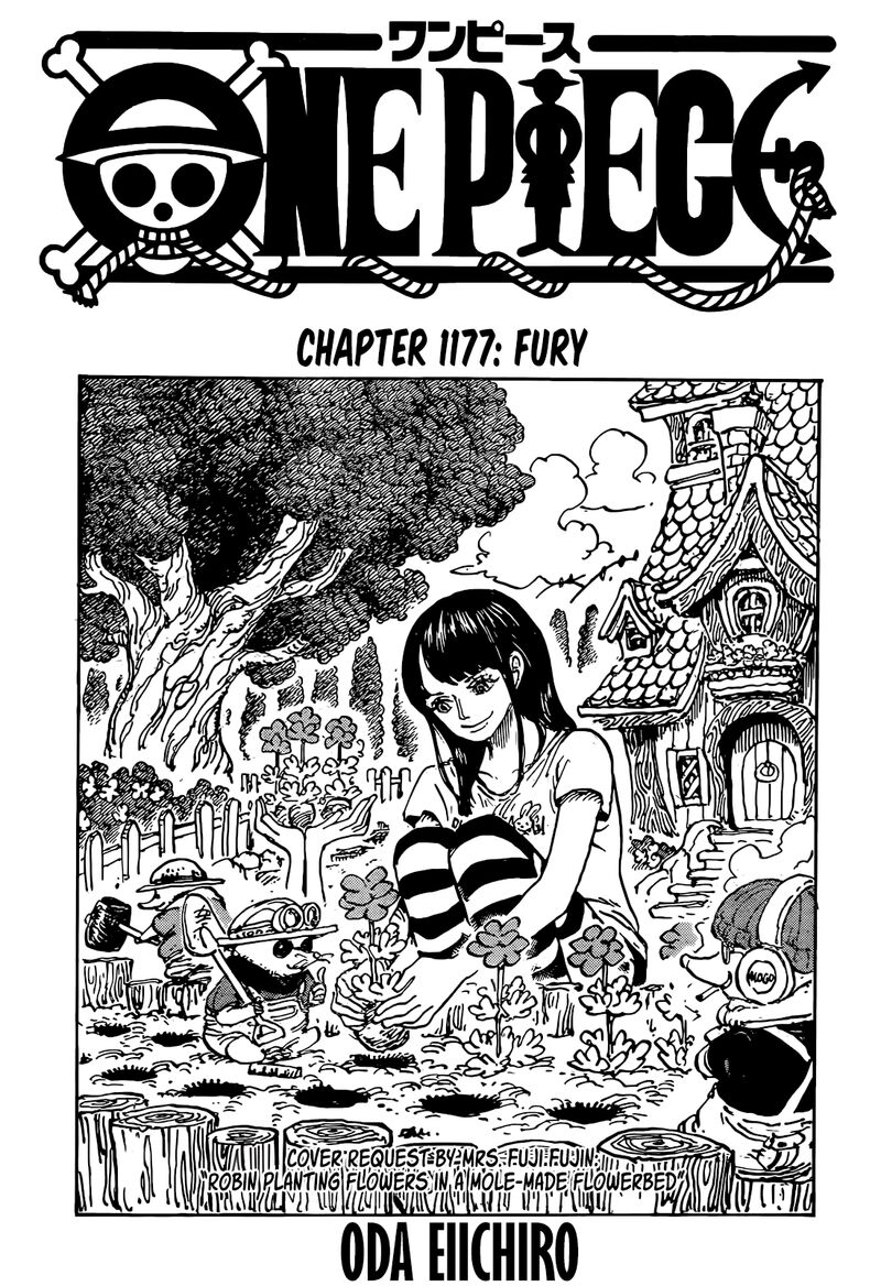 One Piece Chapter 1177 - Page 1