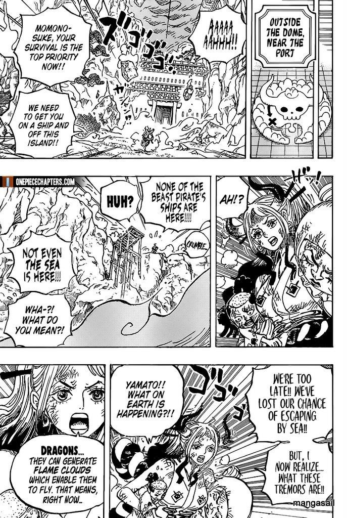 One Piece Chapter 997 - Page 15