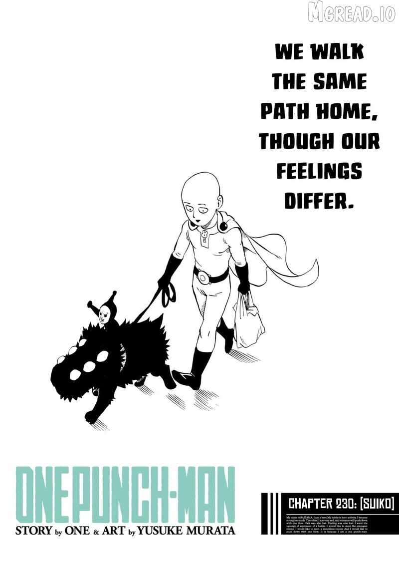 One Punch Man, onepunchman Chapter 291 - Page 1