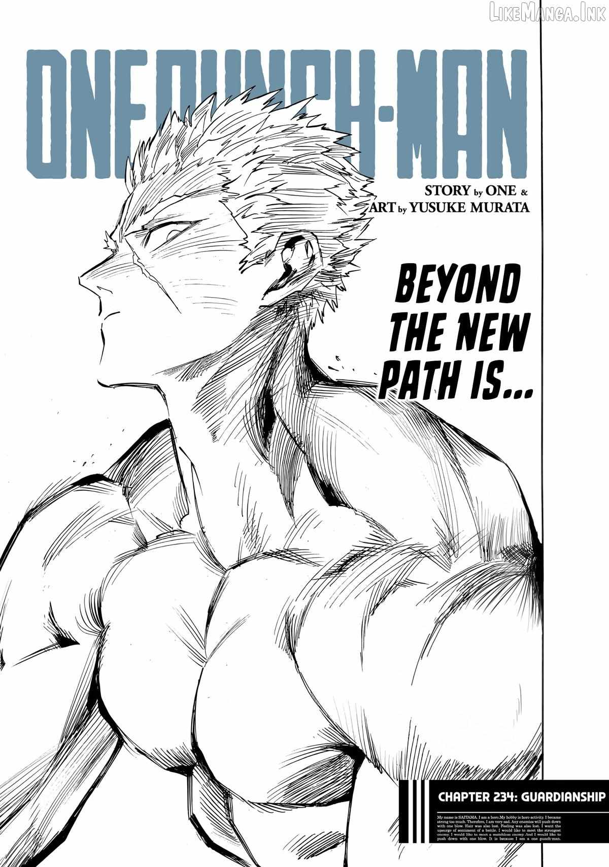 One Punch Man, onepunchman Chapter 295 - Page 1