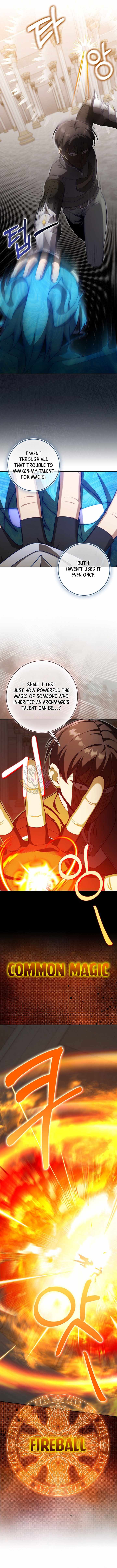 Max Level Player Chapter 153 - Page 3