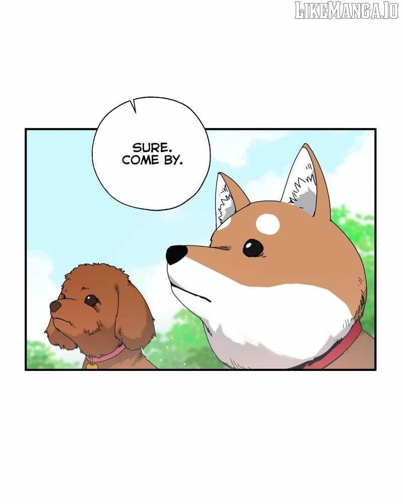 BlackSun Chapter 100 - Page 18