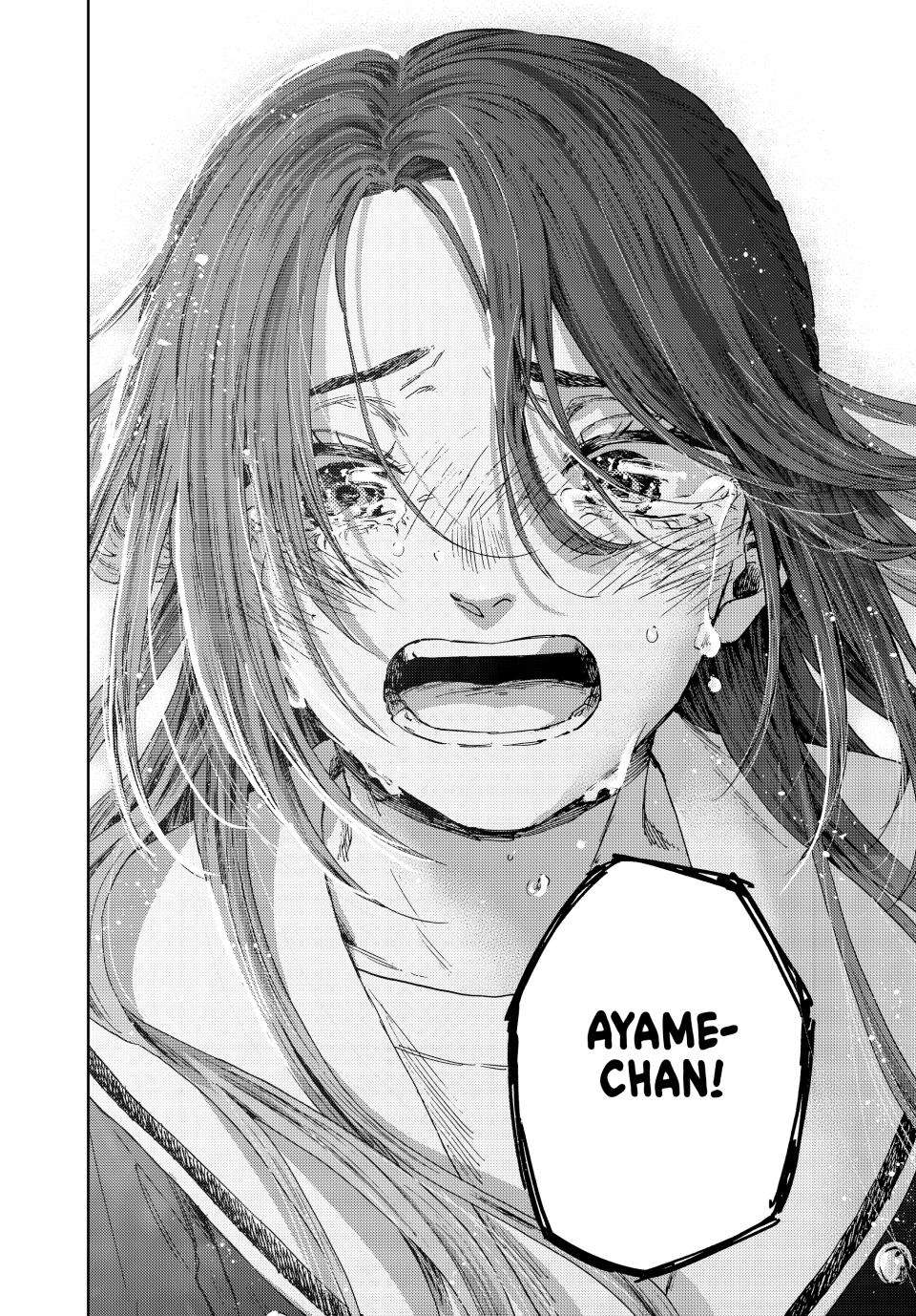 Kaoru Hana wa Rin to Saku Chapter 185 - Page 20