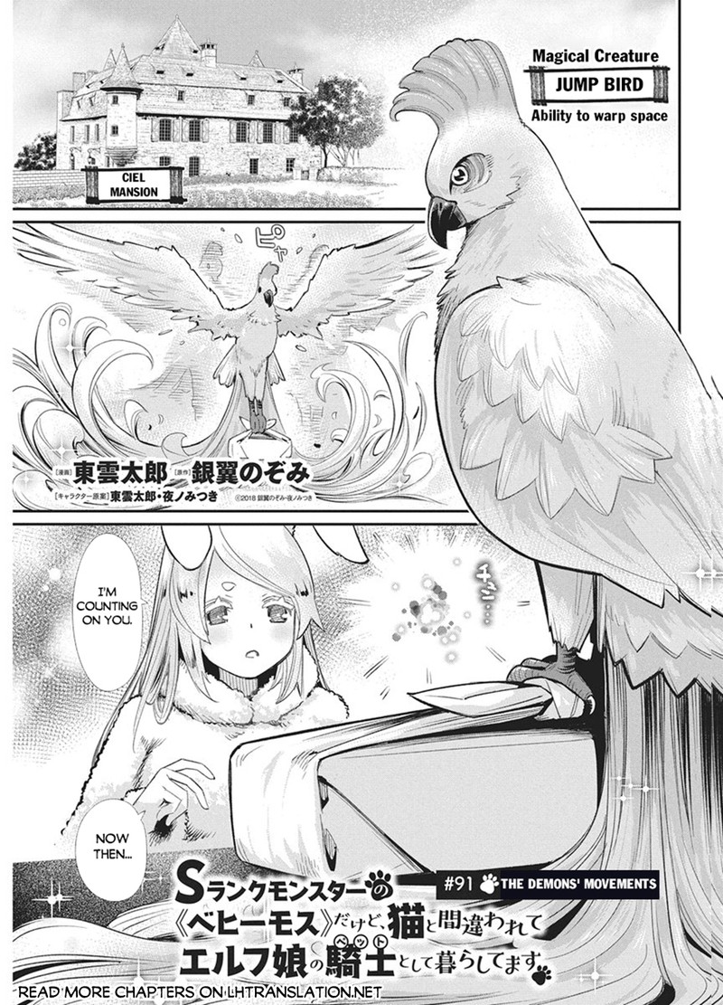 I Am Behemoth Of The S Rank Monster But I Am Mistaken As A Cat And I Live As A Pet Of Elf Girl Chapter 91 - Page 17