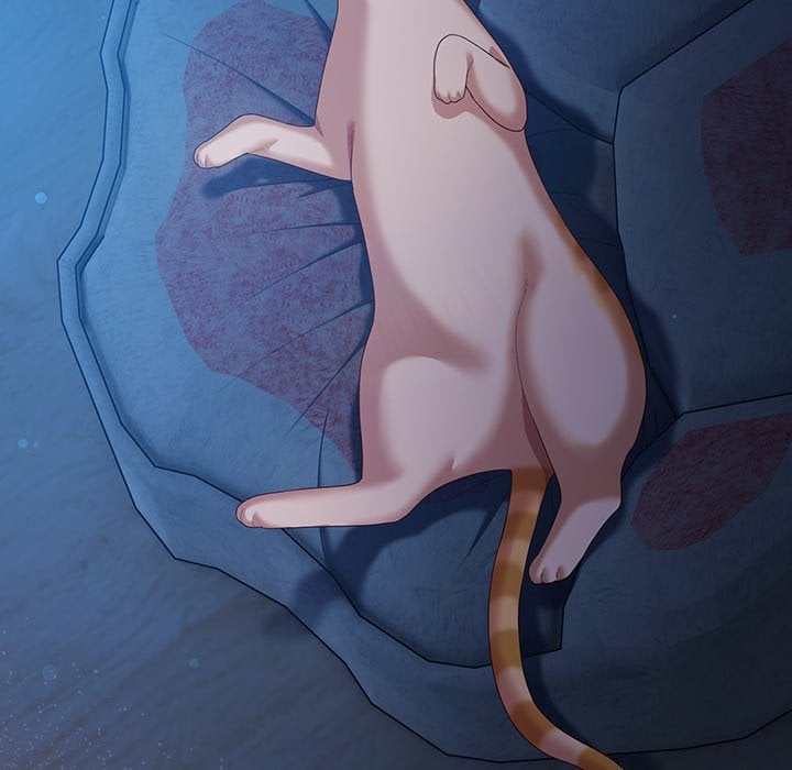 The Love Meowtchmaker Chapter 27 - Page 6