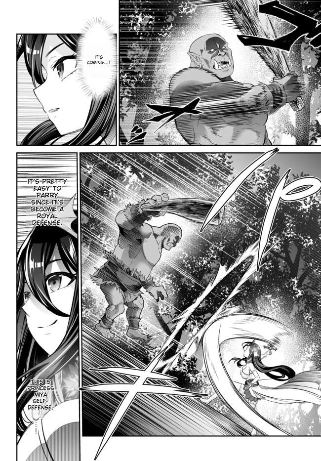 Jingai Hime Sama, Hajimemashita – Free Life Fantasy Online Chapter 18.1 - Page 11