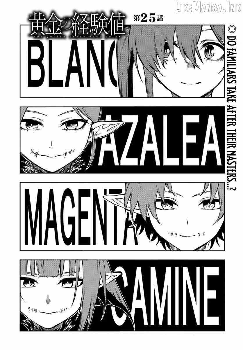 The Golden Experience Point Chapter 25.1 - Page 2