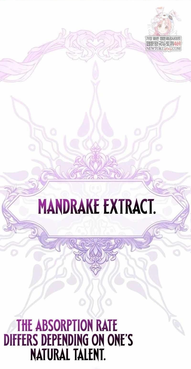 A Genius Wizard Who Breaks Boundaries Chapter 36 - Page 1