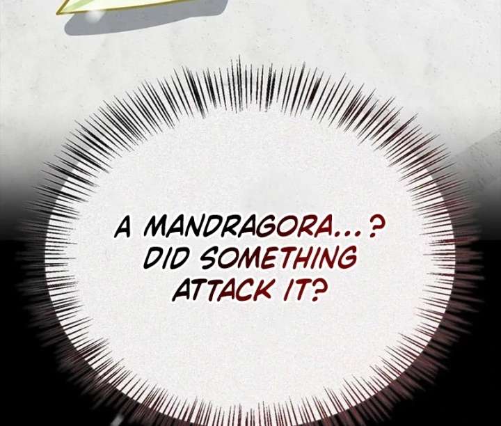 S-Class Hunter Heals with Monsters Chapter 24 - Page 9