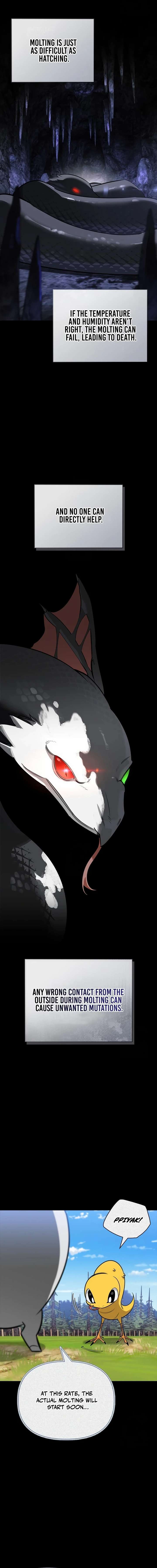 S-Class Hunter Heals with Monsters Chapter 29 - Page 10